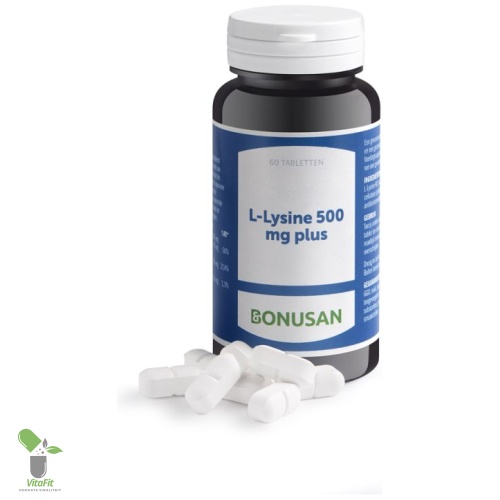 0973 l lysin 500 mg plus mit Formular jpg 800x800