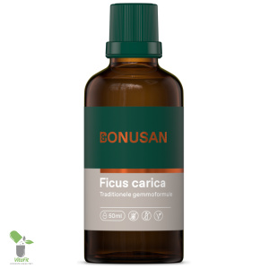 Bonusan Ficus carica 50 ml