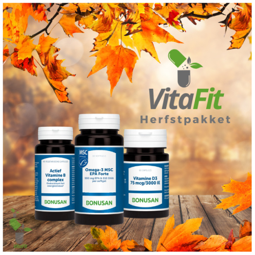 Herbstliche Nahrungsergänzungsmittel vor dem Hintergrund von Laub: VitaFit, Vitamine, Omega-3.